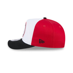 Chicago Blackhawks NHL Pack Golfer Hat