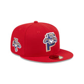 Florida Panthers Deceptor 59FIFTY Fitted Hat