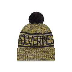 Michigan Wolverines Cold Weather Pom Knit Hat