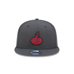 Arizona Cardinals 2026 Sideline Cold Weather Historic 9FIFTY Snapback Hat