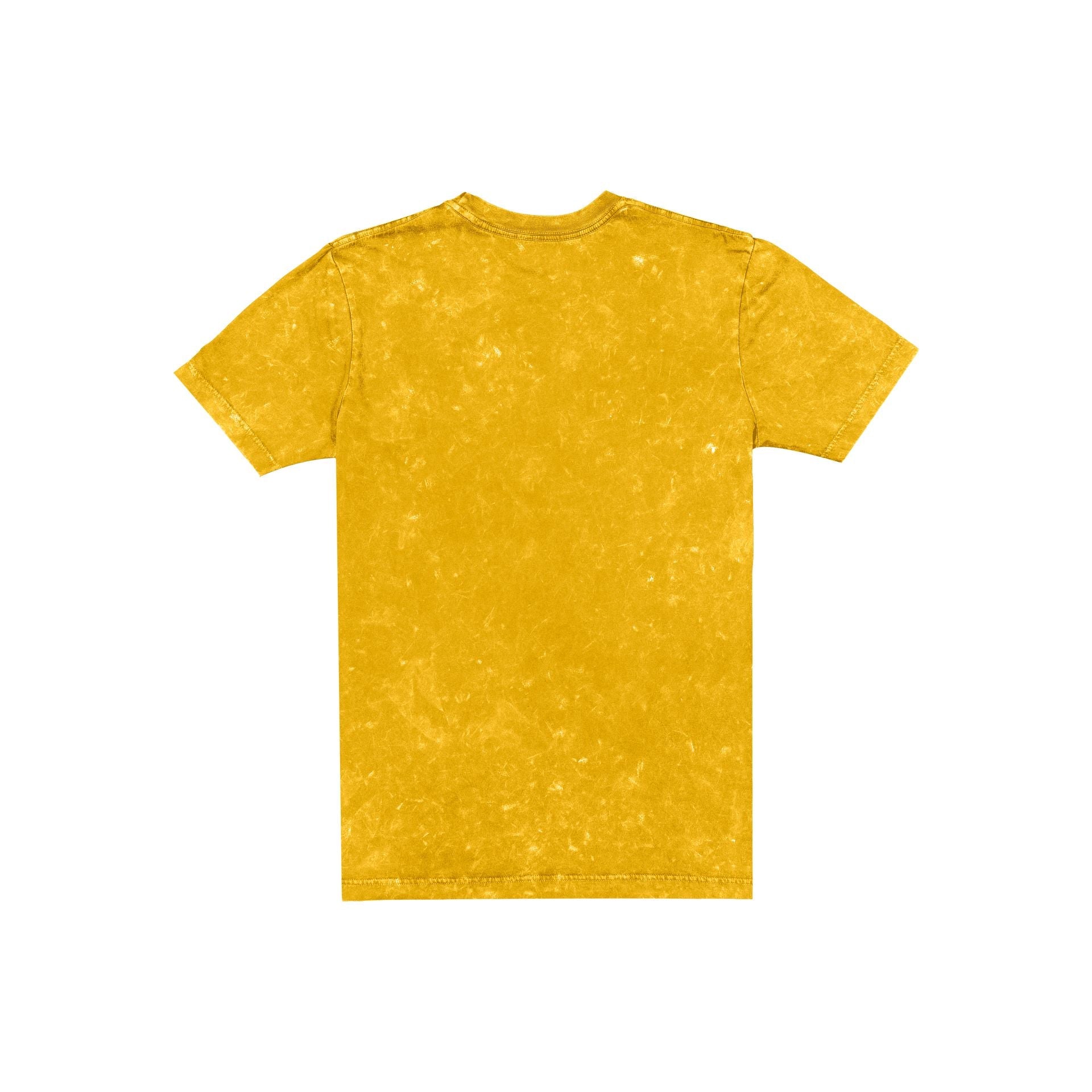 Iowa Hawkeyes Throwback Washed T-Shirt