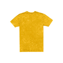 Iowa Hawkeyes Throwback Washed T-Shirt