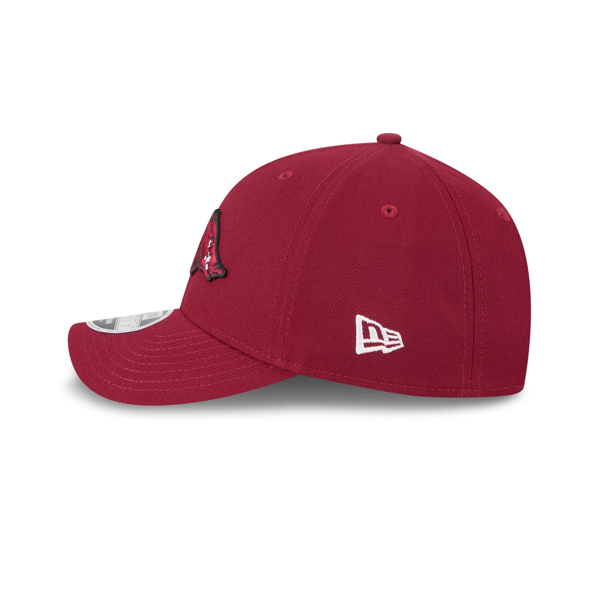 Arkansas Razorbacks Team 9FORTY M-Crown Snapback Hat