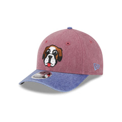 Colorado Avalanche Mascot 9FORTY M-Crown Snapback Hat