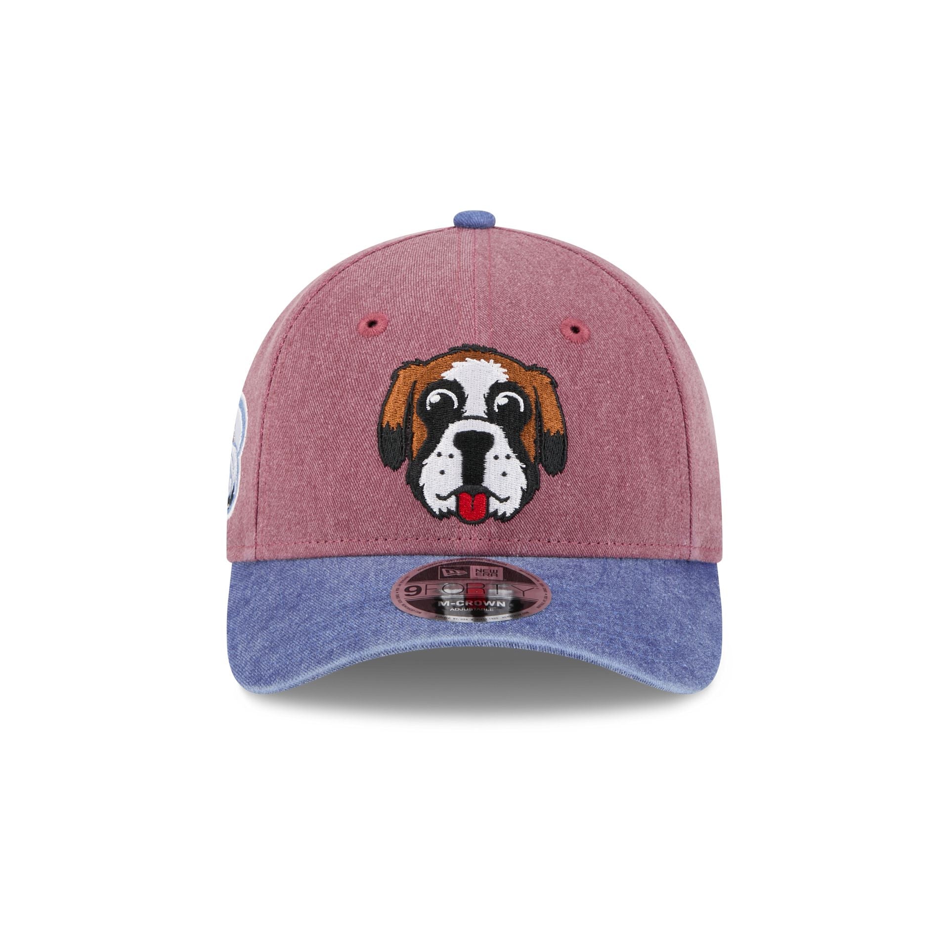Colorado Avalanche Mascot 9FORTY M-Crown Snapback Hat