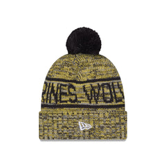 Michigan Wolverines Cold Weather Pom Knit Hat
