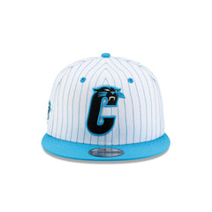Carolina Panthers Deceptor Pinstripe 9FIFTY Snapback Hat