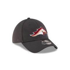 Birmingham Stallions Gray 39THIRTY Stretch Fit Hat