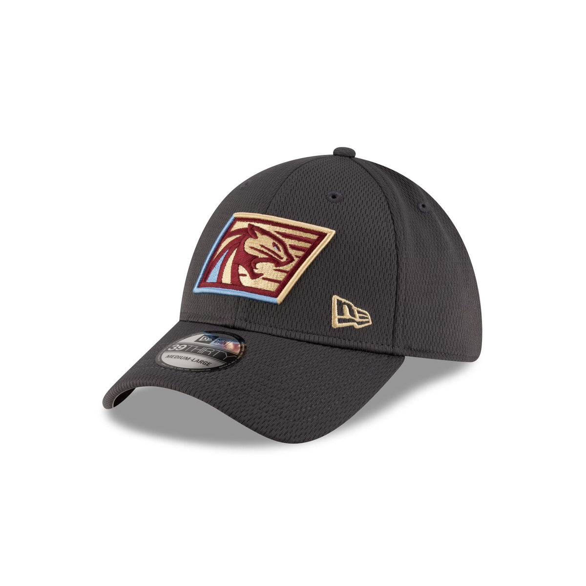 Michigan Panthers Gray 39THIRTY Stretch Fit Hat