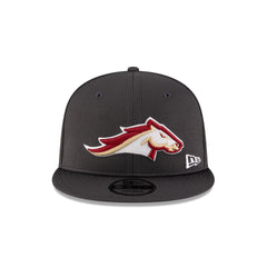 Birmingham Stallions Gray 9FIFTY Snapback Hat