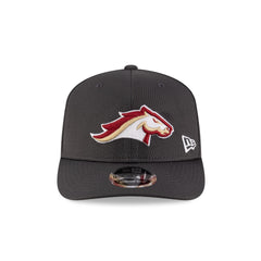 Birmingham Stallions Gray 9SEVENTY Stretch-Snap Hat