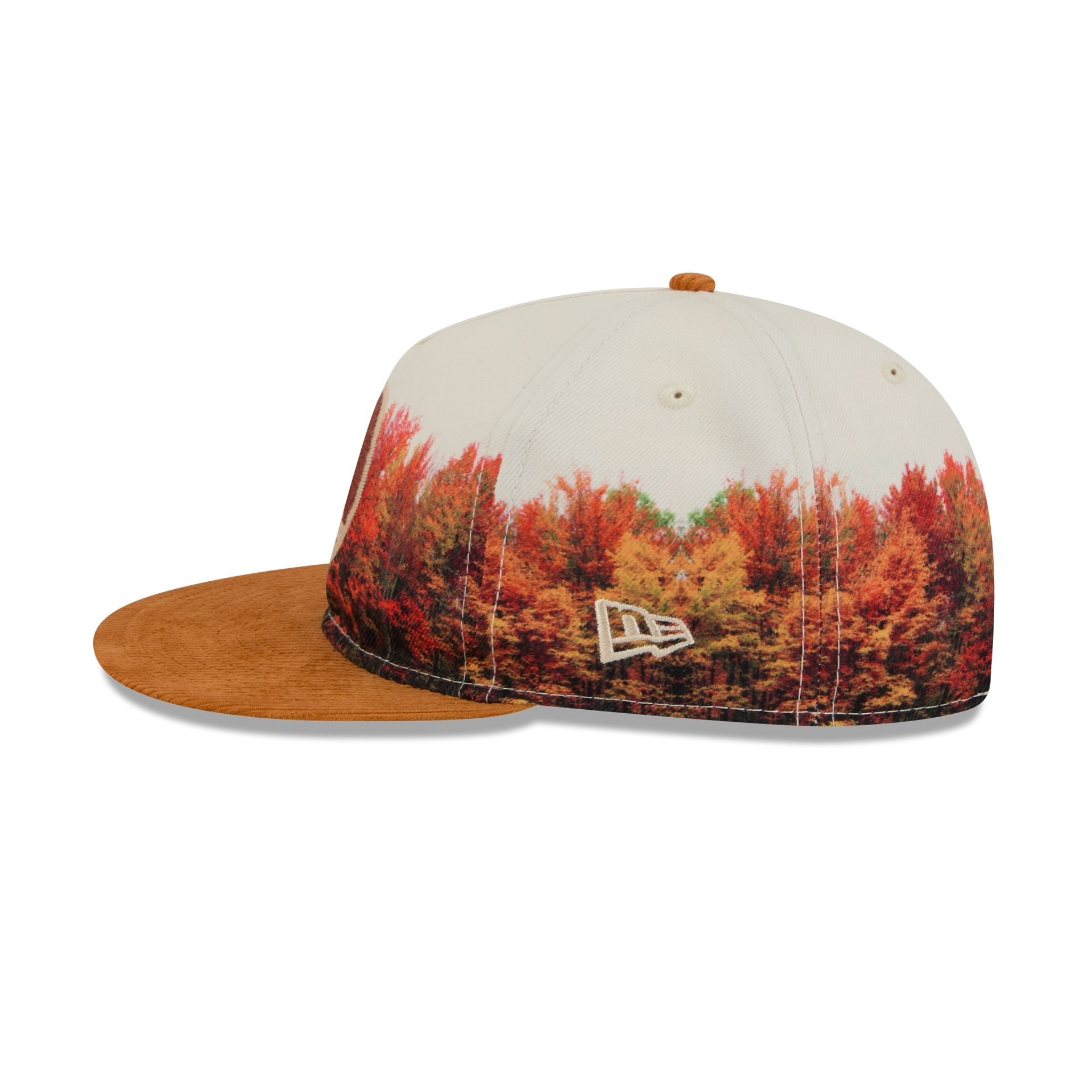 Golden State Warriors Fall Forest Retro Crown 9FIFTY Adjustable Hat