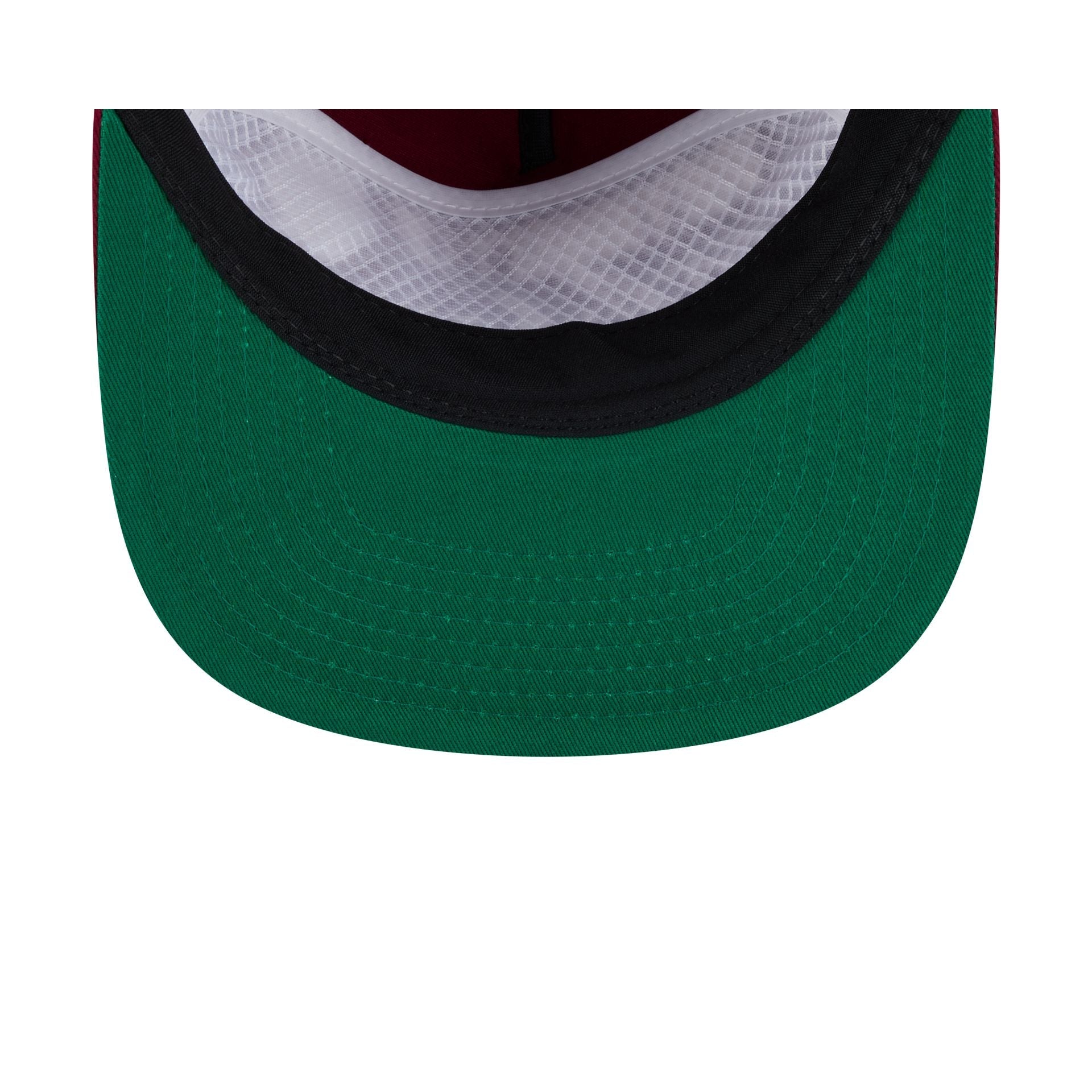 Arkansas Razorbacks Script 19TWENTY Snapback Hat
