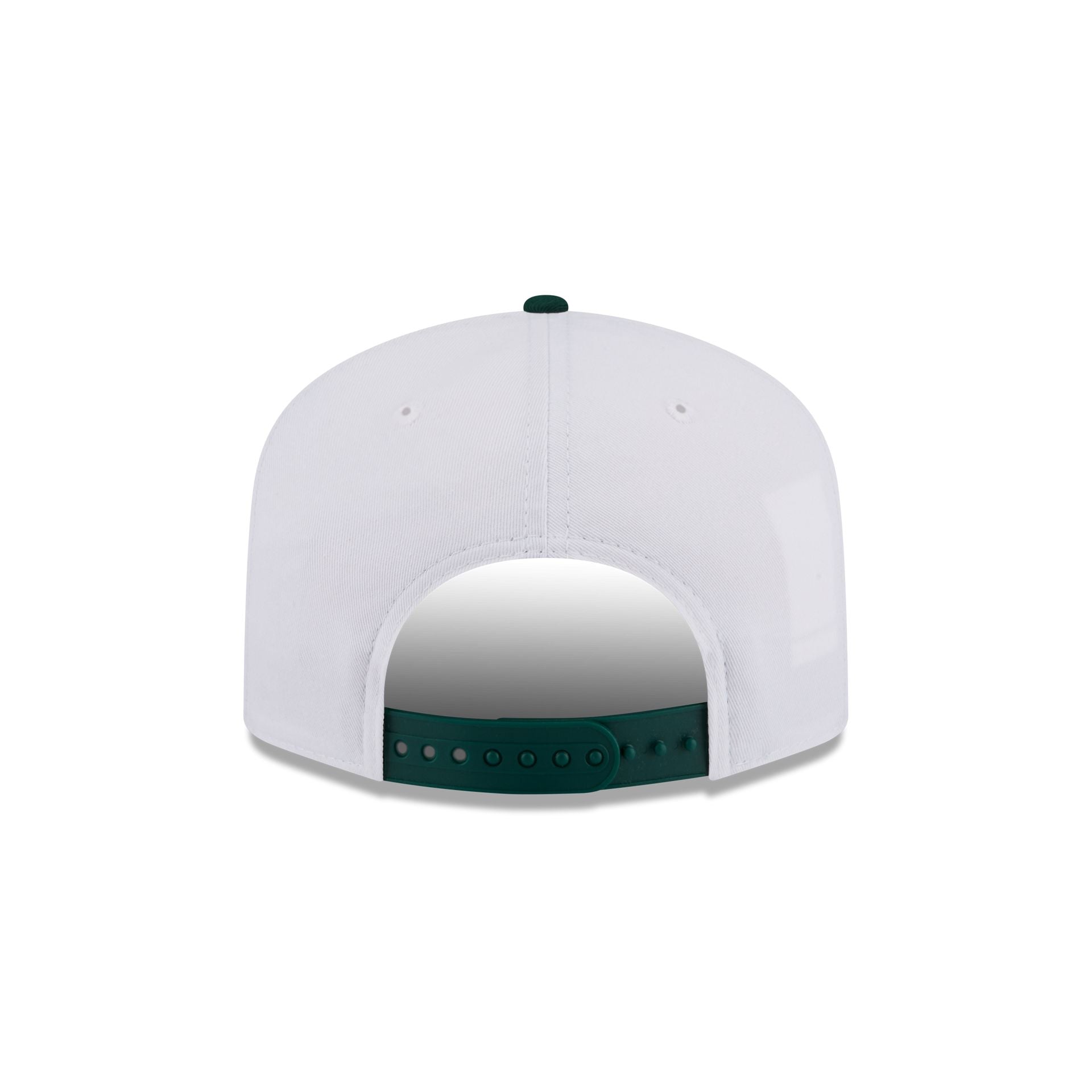 Michigan State Spartans Collegiate Wordmark 19TWENTY Snapback Hat