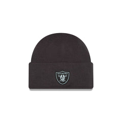 Las Vegas Raiders 2026 Sideline Cold Weather Skully Hat