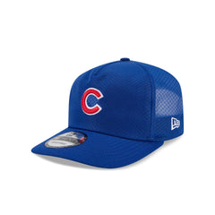 Chicago Cubs Mesh 19TWENTY Trucker Hat
