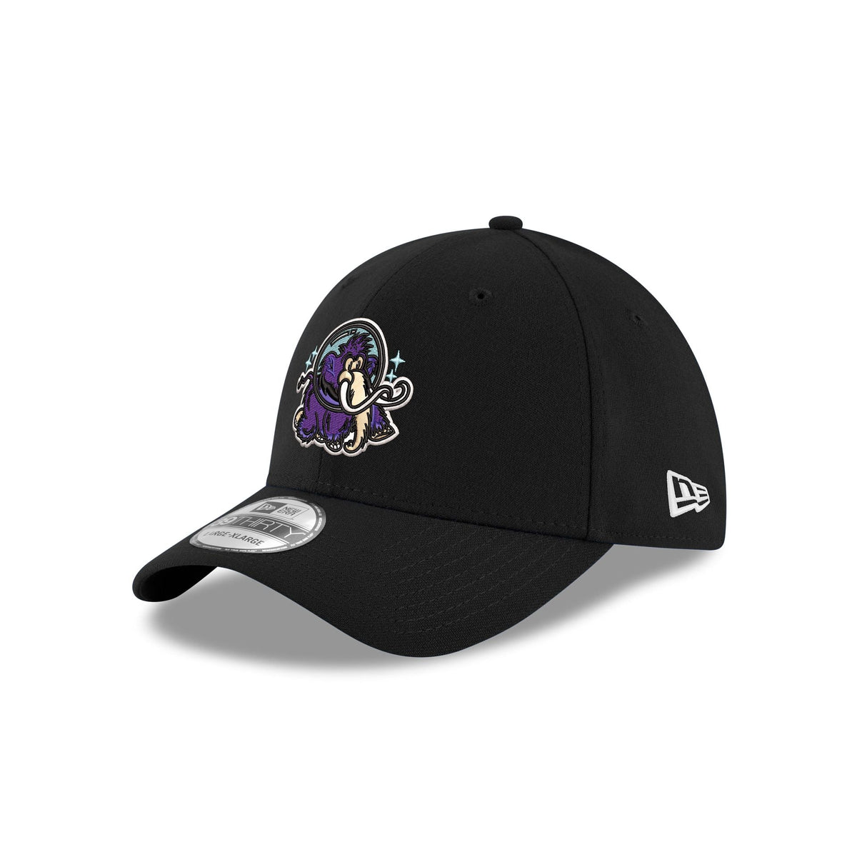 Erie Moon Mammoths 39THIRTY Stretch Fit Hat