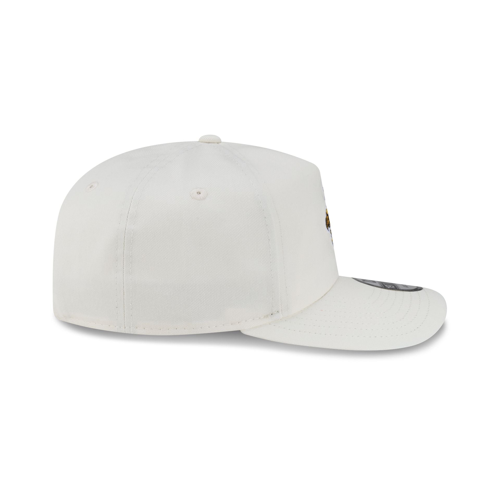 Iowa Hawkeyes Vault Chrome 19TWENTY Snapback Hat